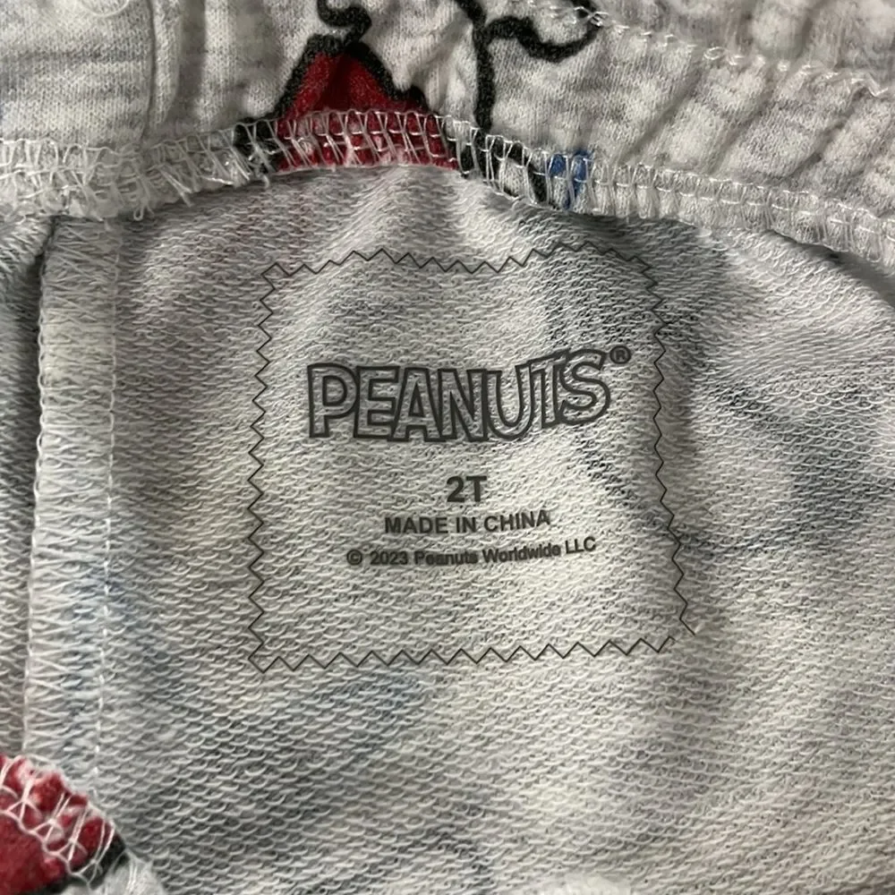 Peanuts Snoopy Toddler Boy Americana T-Shirt and Shorts Set 2T